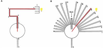 Elemental and Configural Associative Learning in Spatial Tasks: Could Zebrafish be Used to Advance Our Knowledge?